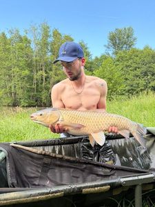 Grass Carp