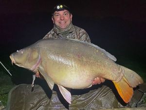 Mirror Carp