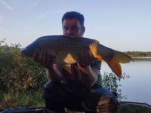 Common Carp