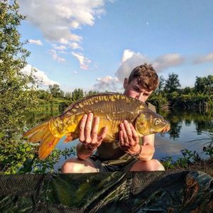 Mirror Carp