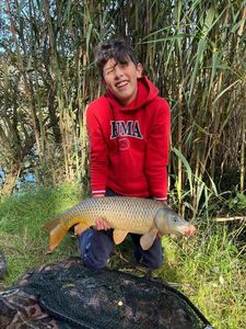 Common Carp
