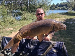 Mirror Carp
