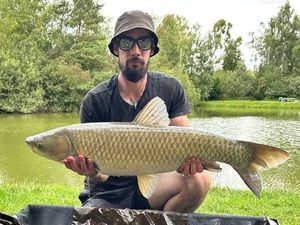 Grass Carp
