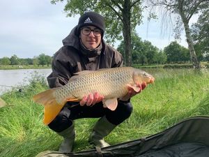 Common Carp