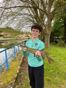 Northern Pike