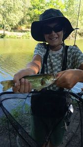Largemouth Bass