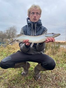 Northern Pike