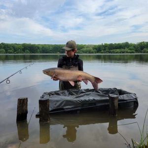 Grass Carp