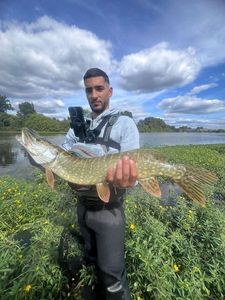 Northern Pike