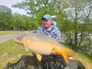 Mirror Carp