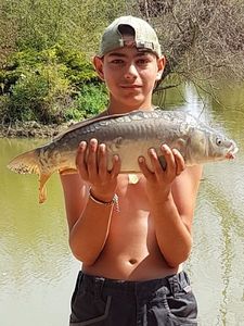 Mirror Carp