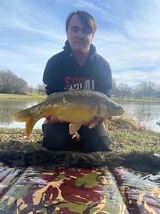 Mirror Carp