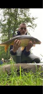 Mirror Carp