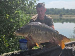 Mirror Carp