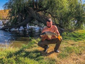 Common Carp