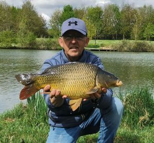 Common Carp