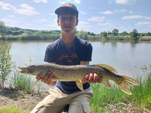 Northern Pike