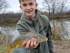 Mirror Carp