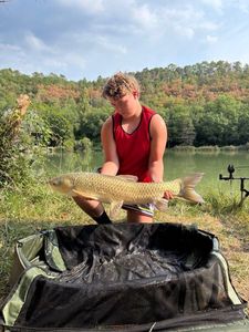 Grass Carp