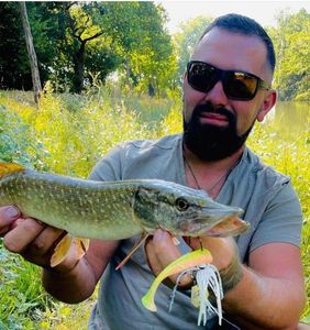 Northern Pike