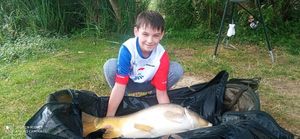 Mirror Carp