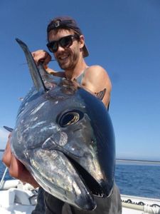 Bluefin Tuna