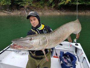 Northern Pike
