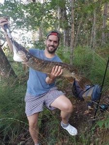 Northern Pike
