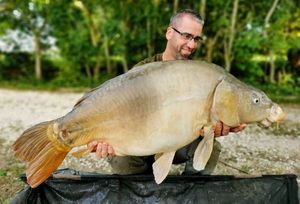 Mirror Carp