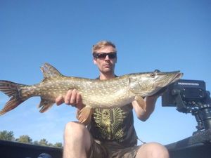 Northern Pike