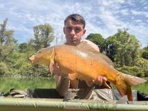 Mirror Carp