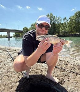 Marble Trout