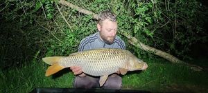 Common Carp