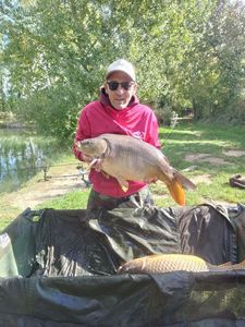 Mirror Carp