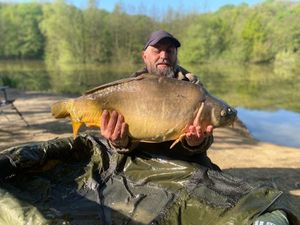 Mirror Carp