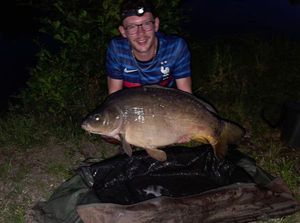 Mirror Carp