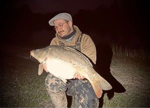 Mirror Carp