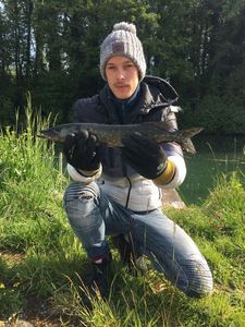 Northern Pike