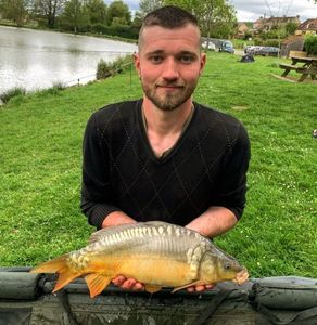 Mirror Carp