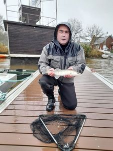 Zander