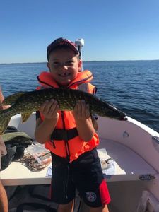 Northern Pike