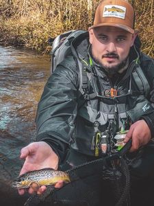 Brown Trout
