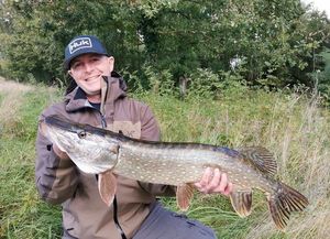 Northern Pike
