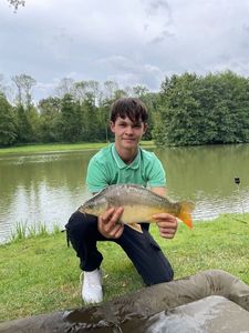 Mirror Carp