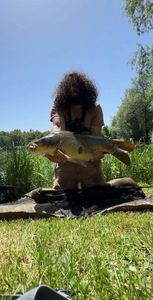 Mirror Carp