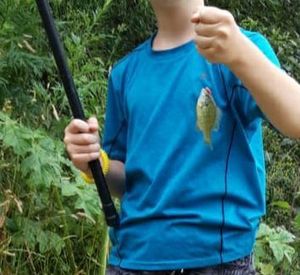 Green Sunfish