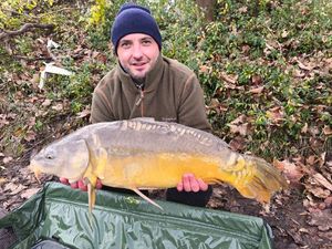 Mirror Carp