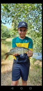 Mirror Carp