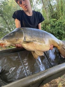 Leather Carp
