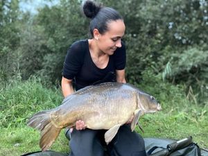 Mirror Carp